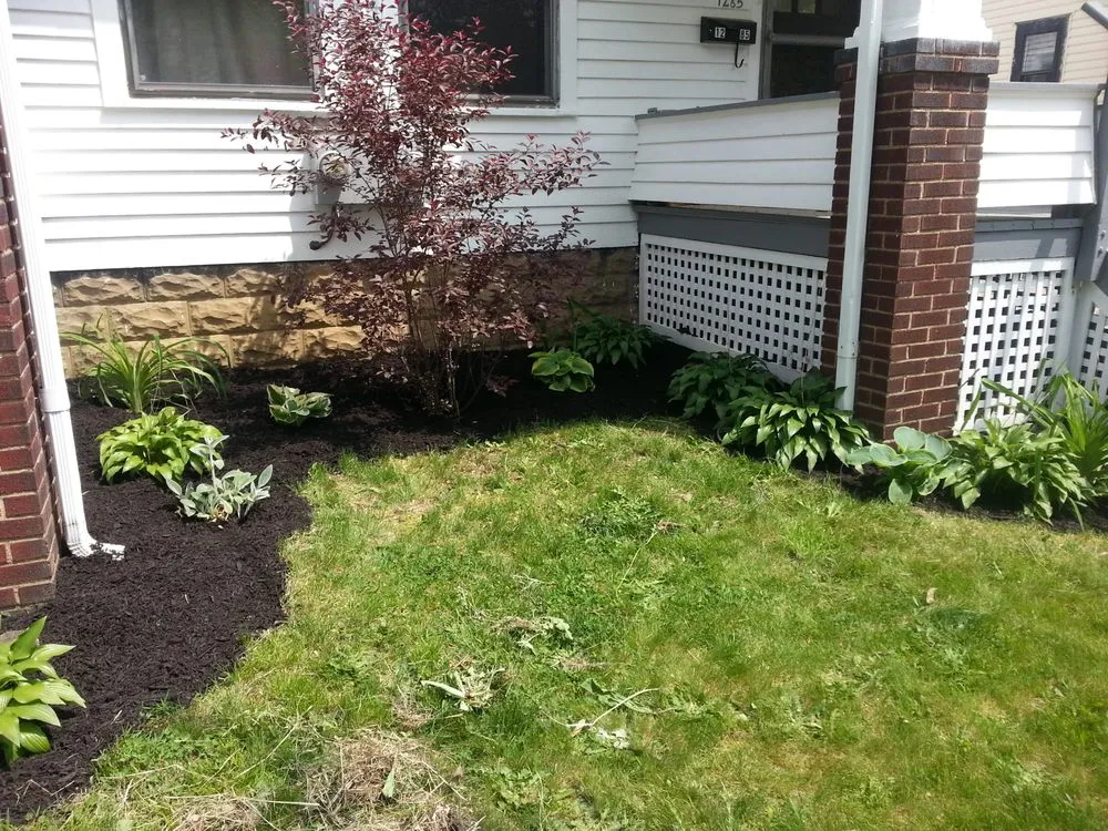 Local yard cleanup service for residential properties in Akron, OH by TDT Properties
