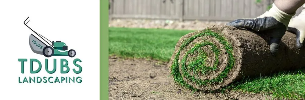 Custom landscape design experts serving New Orleans, LA - TDubs Landscaping