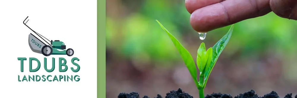 Custom lawn care service in New Orleans, LA - TDubs Landscaping