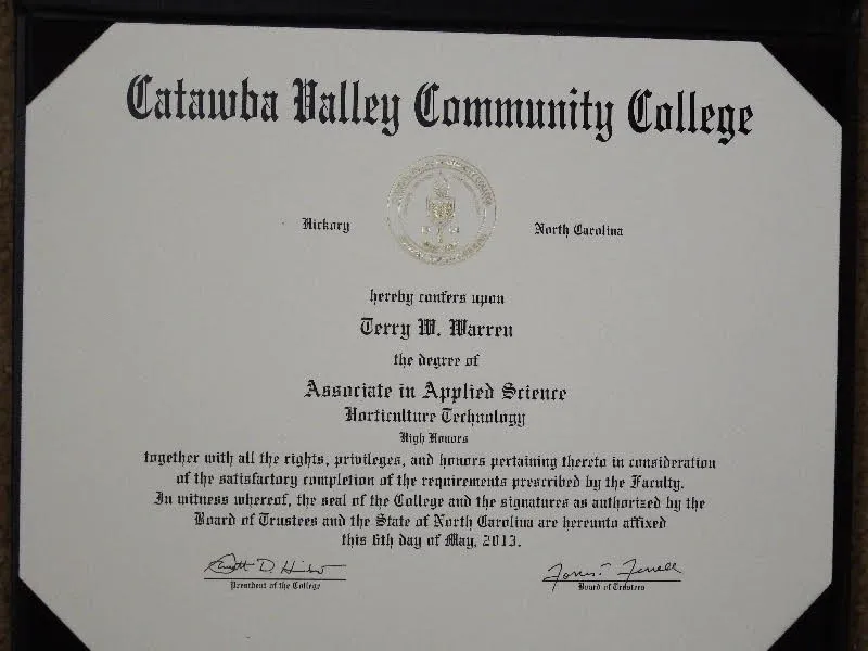 Expert outdoor landscaping for beautiful yards in Maiden, NC by TDUBS Lawn Service and Cleanup