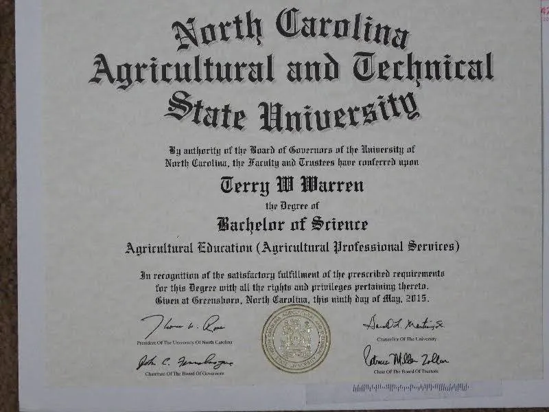 Professional yard cleanup service in Maiden, NC by TDUBS Lawn Service and Cleanup