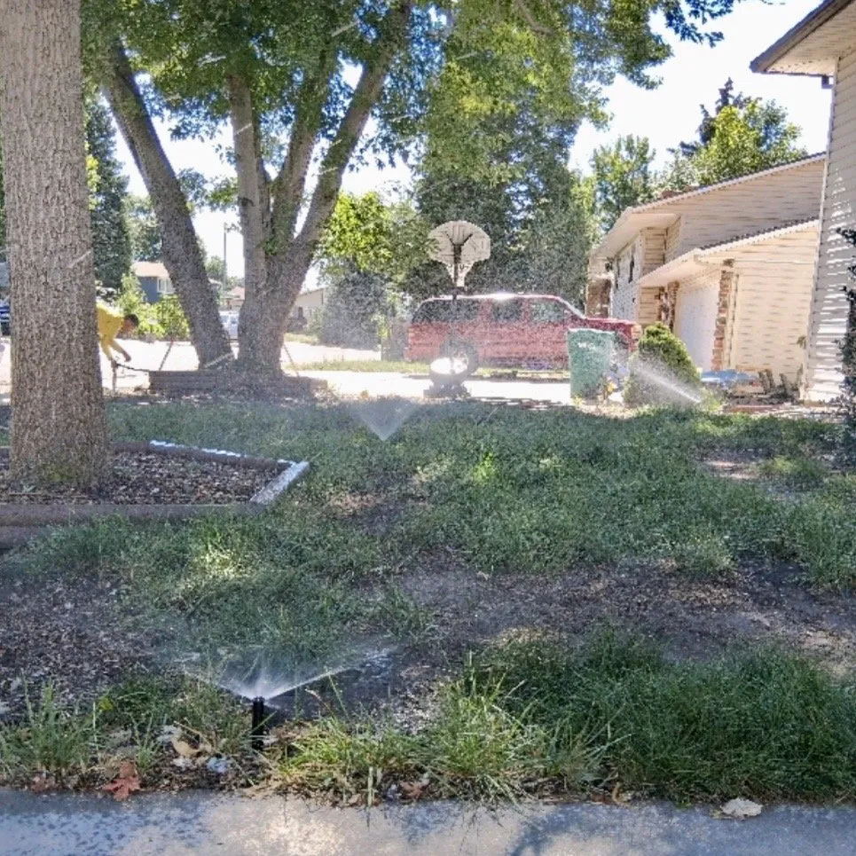 Expert yard cleanup service near you in Colorado Springs, CO by T&E Irrigation