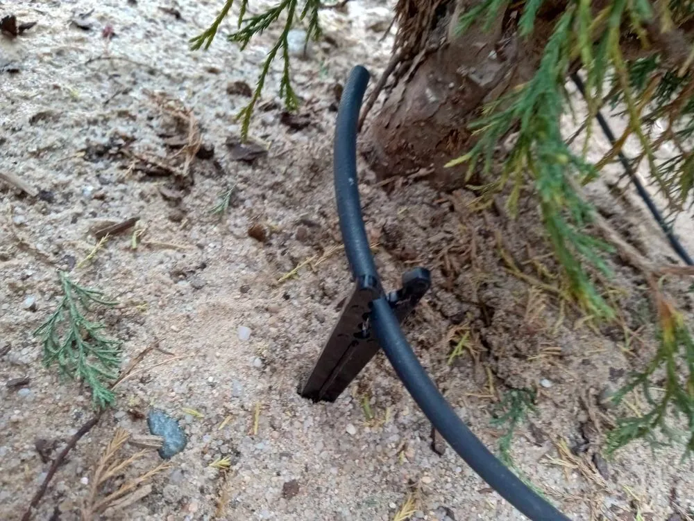 Professional yard cleanup service experts serving Colorado Springs, CO - T&E Irrigation