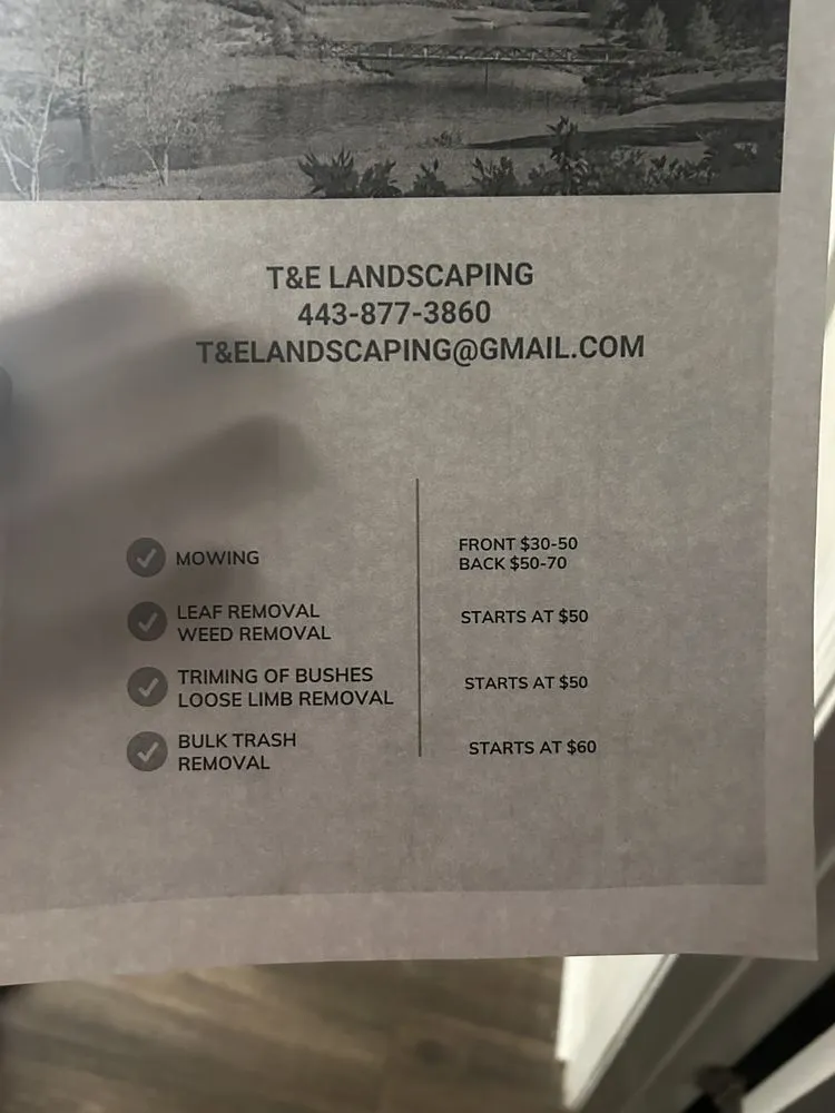 Reliable yard cleanup service for homes across Atlanta, GA - T&E Landscaping