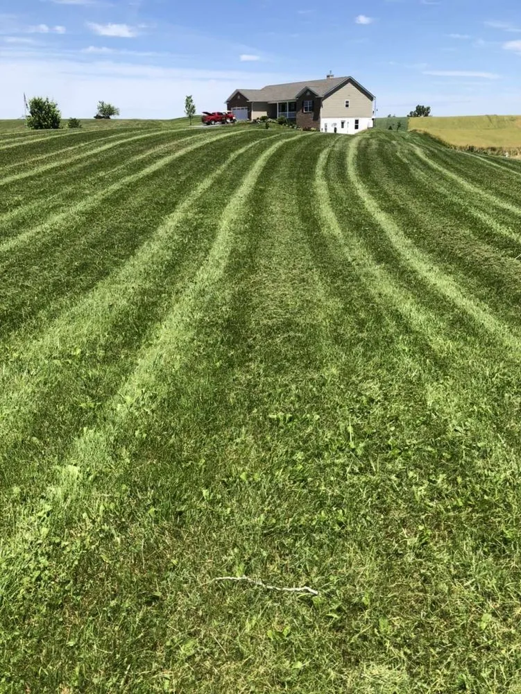 Top-rated landscaping services for year-round maintenance in Rocky Ridge, MD by T&E Landscaping Service