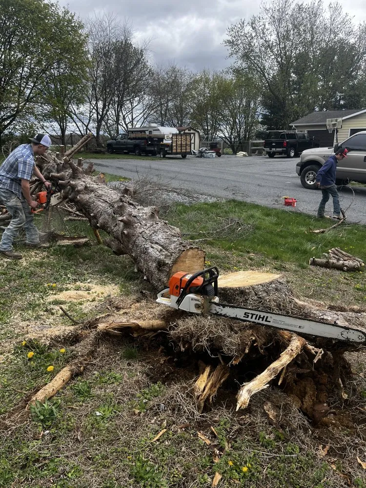 Professional landscape design in Rocky Ridge, MD - T&E Landscaping Service