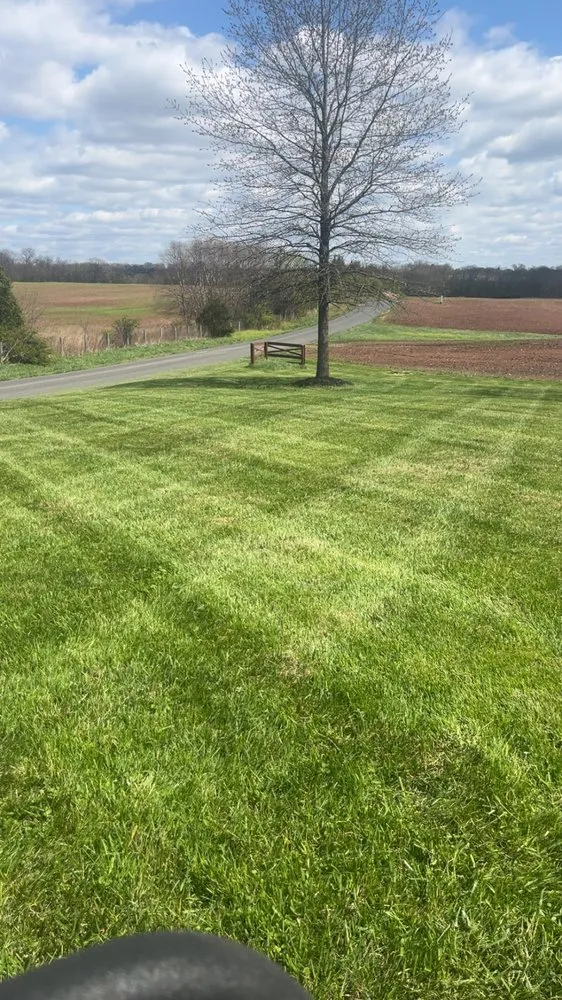 Expert lawn care service in Rocky Ridge, MD - T&E Landscaping Service