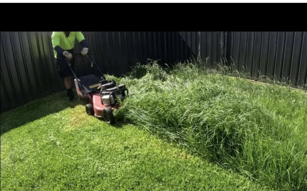 Expert garden landscaping in Evans, CO - T&E Lawn Mowing and Cleanup