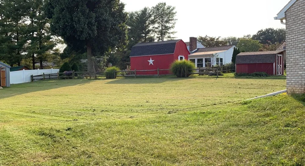 Top-rated yard cleanup service for beautiful yards across Hagerstown, MD - T&E lawn service