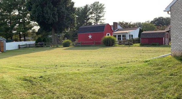 T&E lawn service Logo