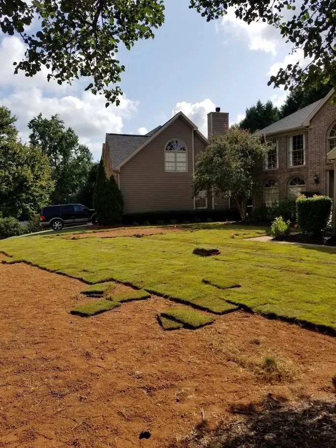 Expert lawn mowing service for beautiful yards across New York, NY - Te Limpio Atlanta