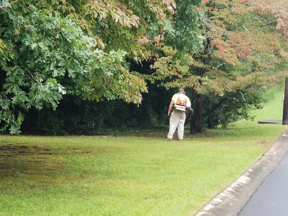 Professional garden landscaping for residential properties across New York, NY - Te Limpio Atlanta