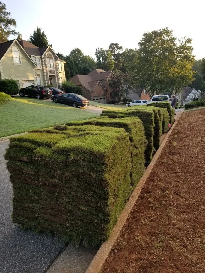 Reliable residential landscaping for year-round maintenance across New York, NY - Te Limpio Atlanta