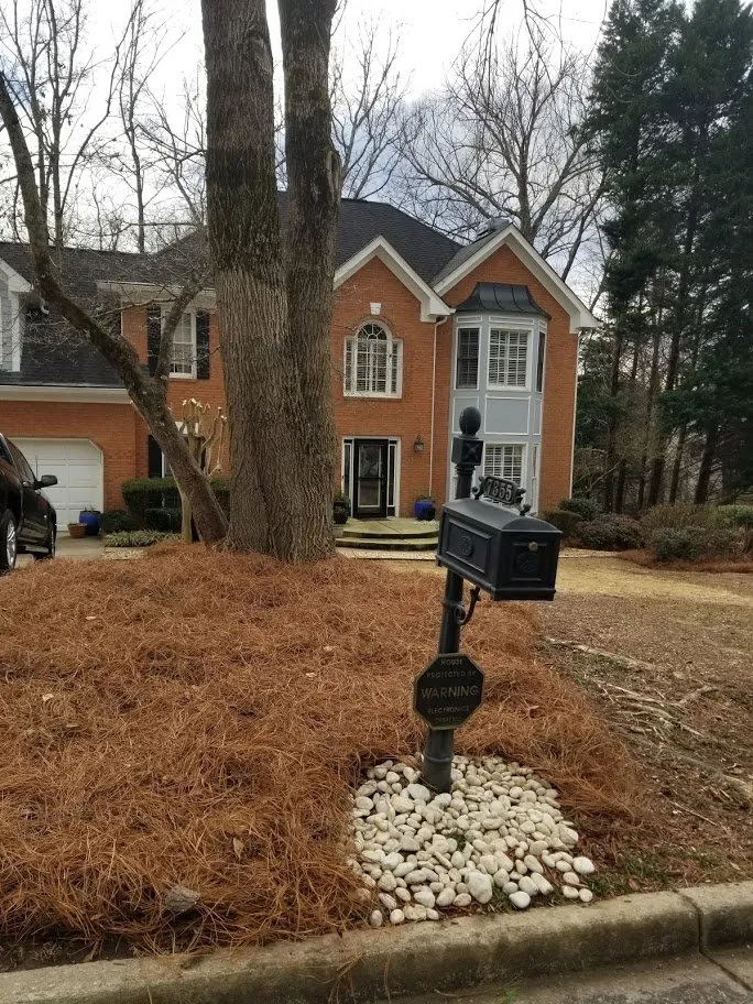 Local residential landscaping in New York, NY by Te Limpio Atlanta