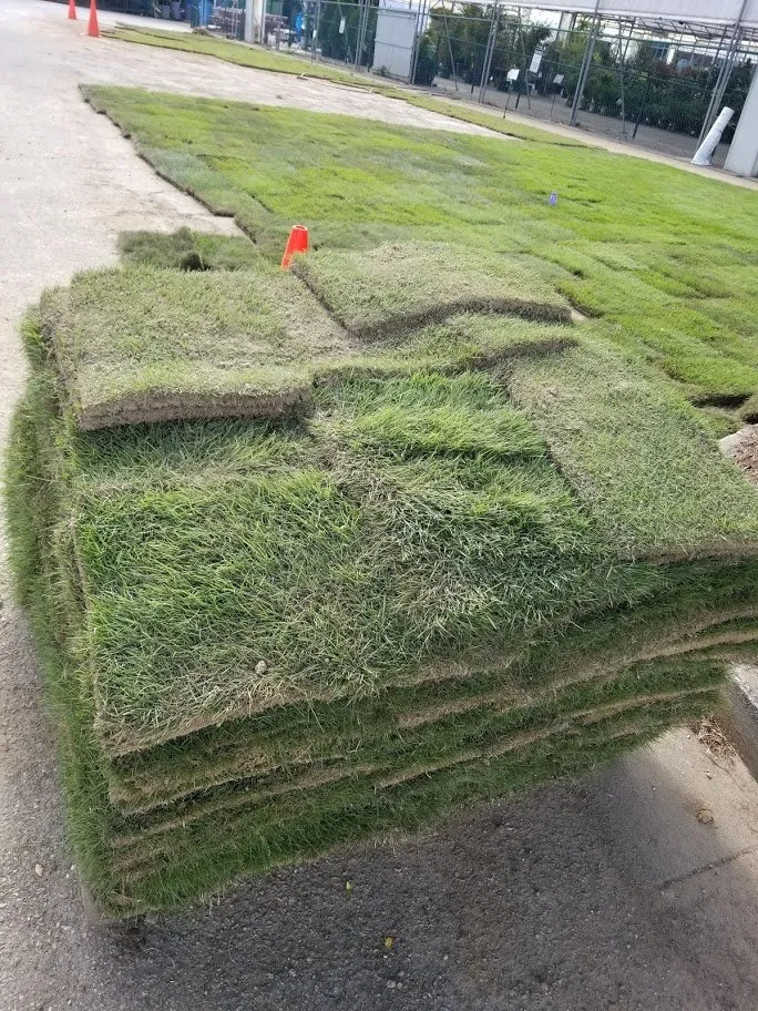 Reliable landscape installation in New York, NY by Te Limpio Atlanta