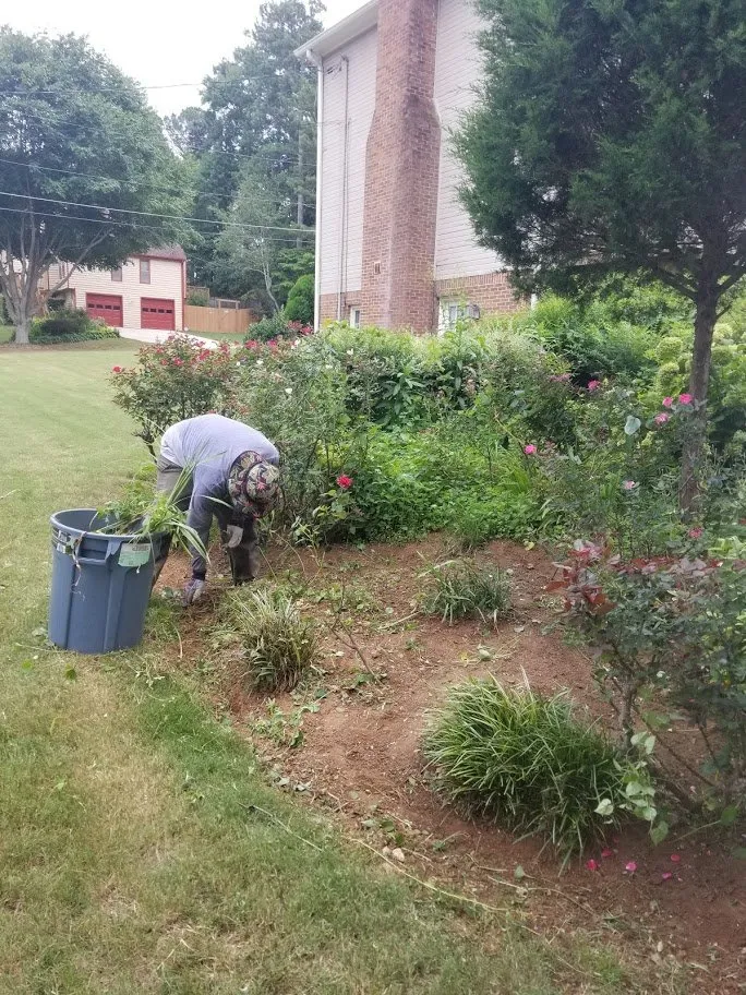 Affordable landscape design for beautiful yards in New York, NY by Te Limpio Atlanta