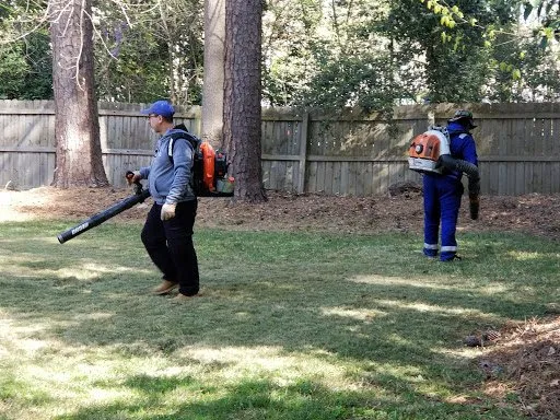 Professional lawn care service experts serving New York, NY - Te Limpio Atlanta