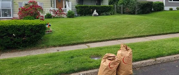 Teaberrys Lawn Service Logo