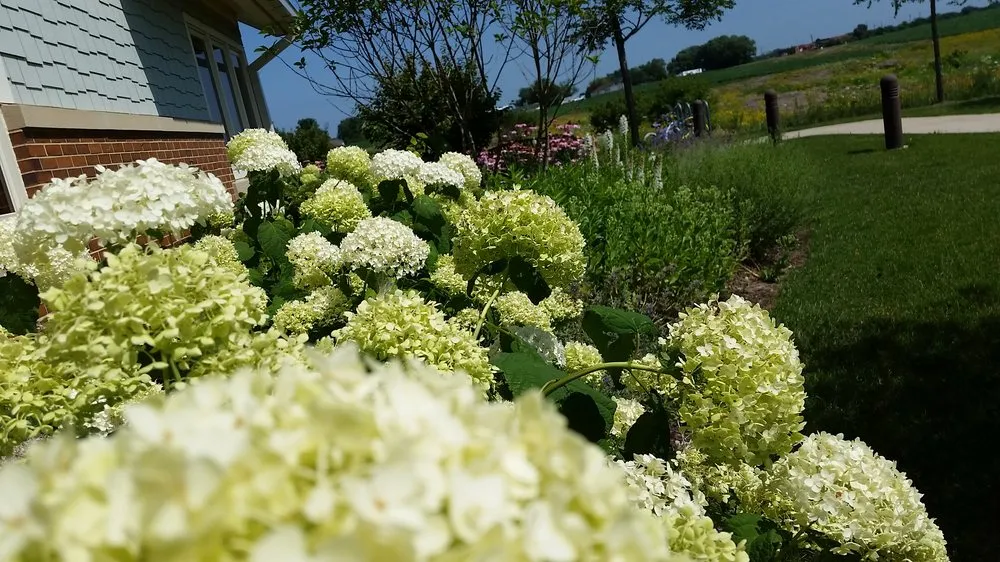 Expert residential landscaping for homes across Sycamore, IL - Teach 'em to Fish Landscaping