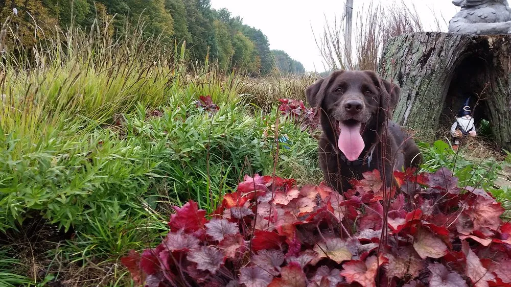 Custom lawn mowing service near you across Sycamore, IL - Teach 'em to Fish Landscaping