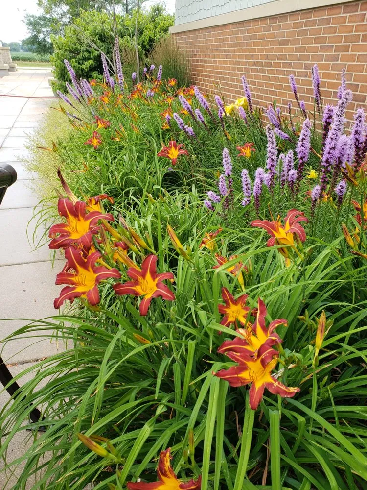 Expert lawn mowing service experts serving Sycamore, IL - Teach 'em to Fish Landscaping