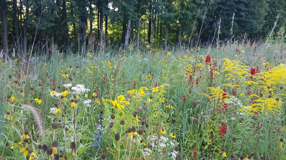 Local landscaping services in Sycamore, IL by Teach 'em to Fish Landscaping