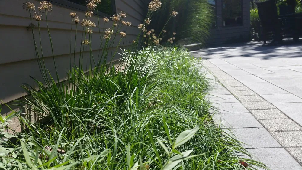 Local yard cleanup service in Sycamore, IL - Teach 'em to Fish Landscaping