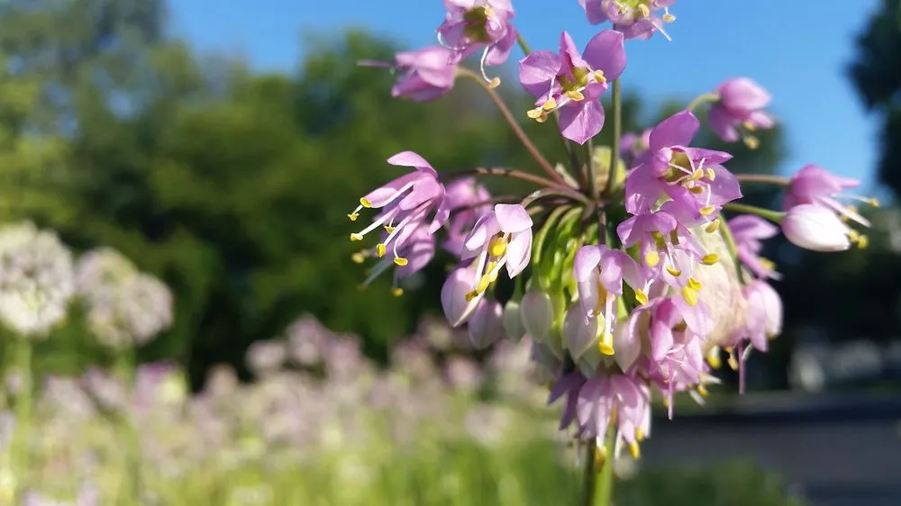 Local outdoor landscaping experts serving Sycamore, IL - Teach 'em to Fish Landscaping