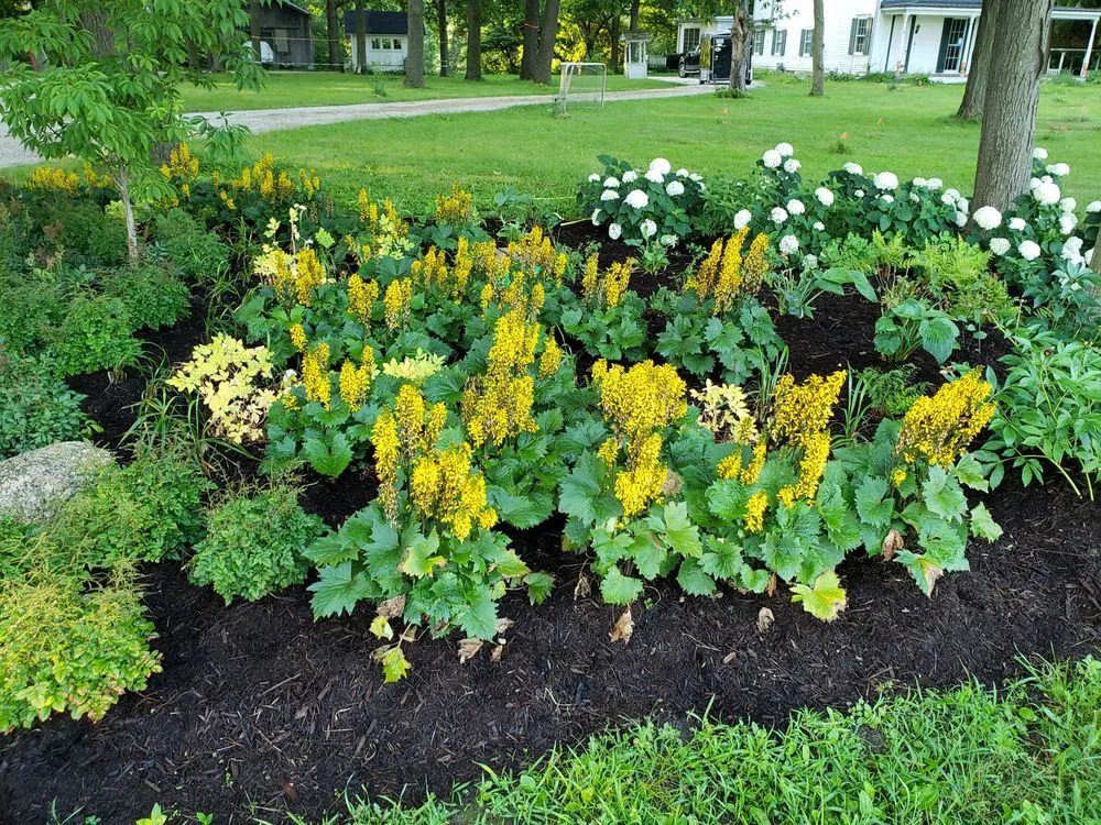 Reliable lawn care service experts serving Sycamore, IL - Teach 'em to Fish Landscaping