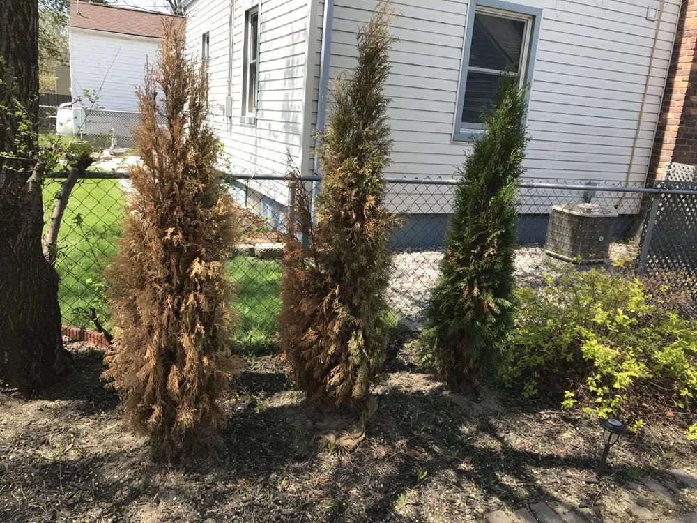 Custom outdoor landscaping experts serving Ferndale, MI - Teacher's Cut