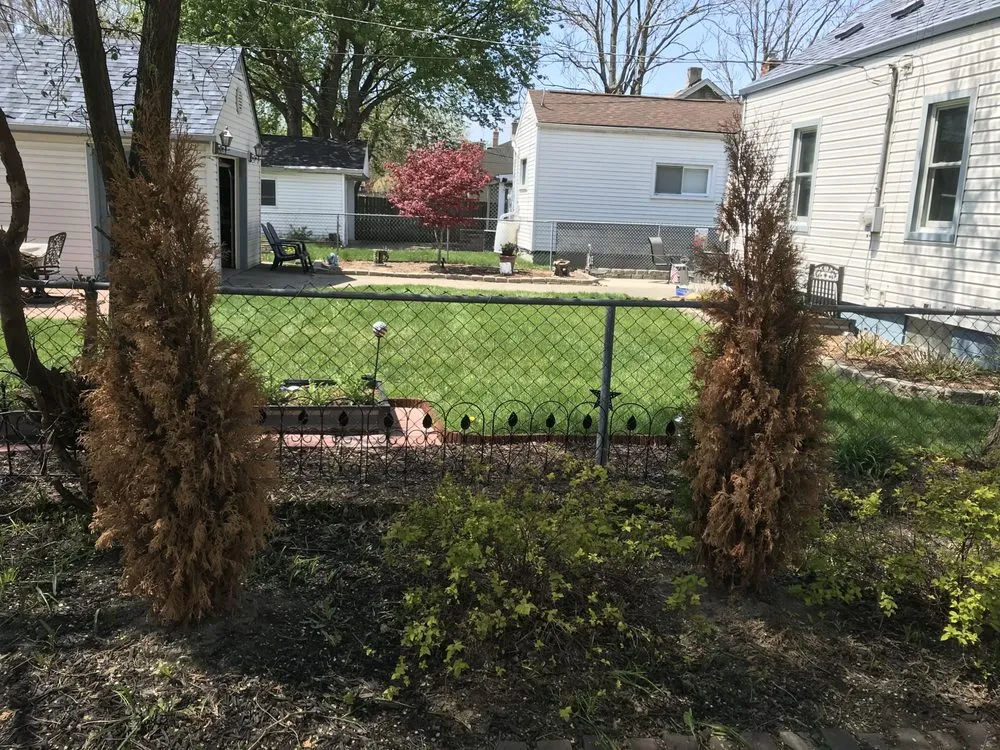 Affordable yard cleanup service with custom design in Ferndale, MI by Teacher's Cut