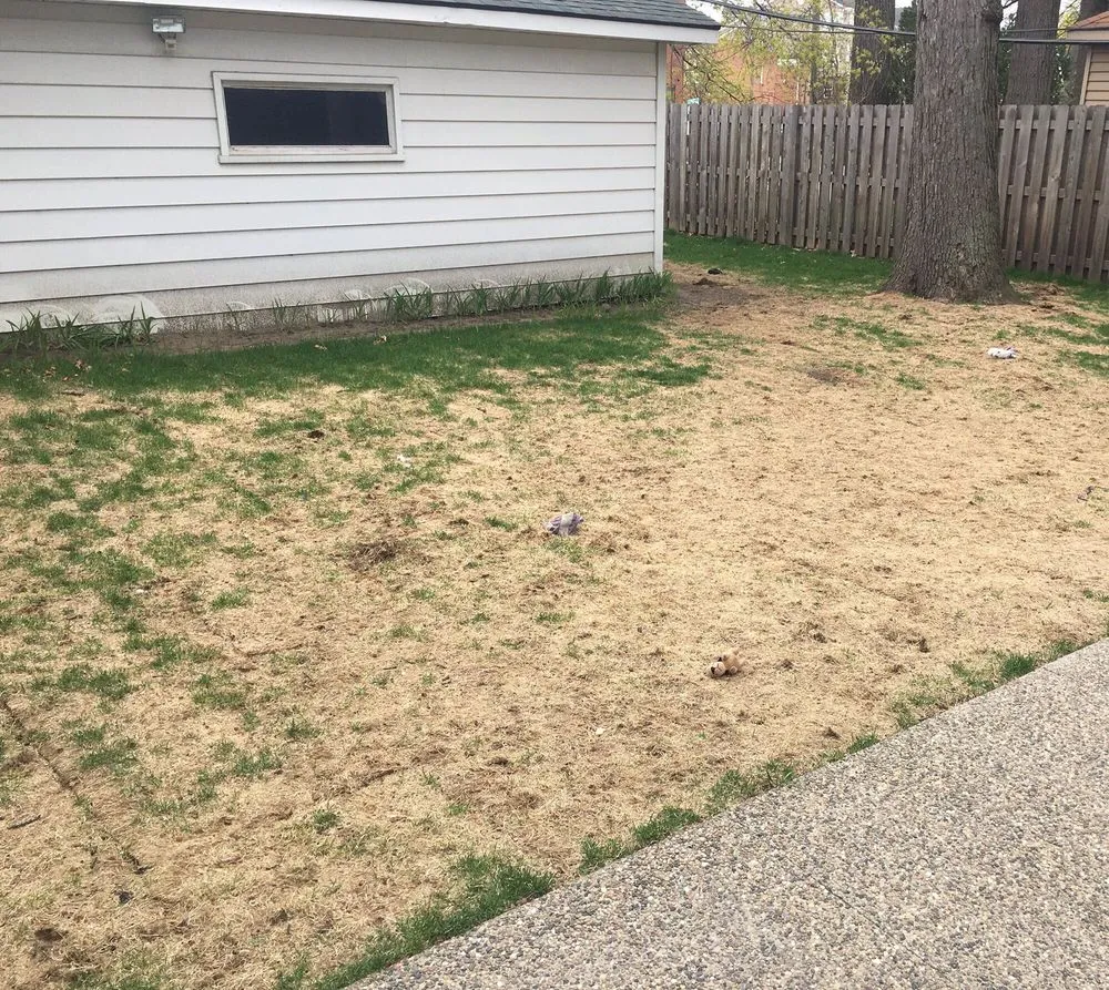 Trusted yard maintenance in Ferndale, MI by Teacher's Cut