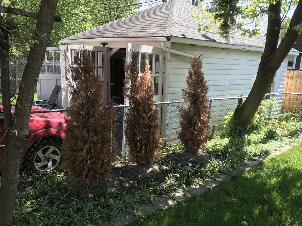 Expert yard maintenance in Ferndale, MI by Teacher's Cut