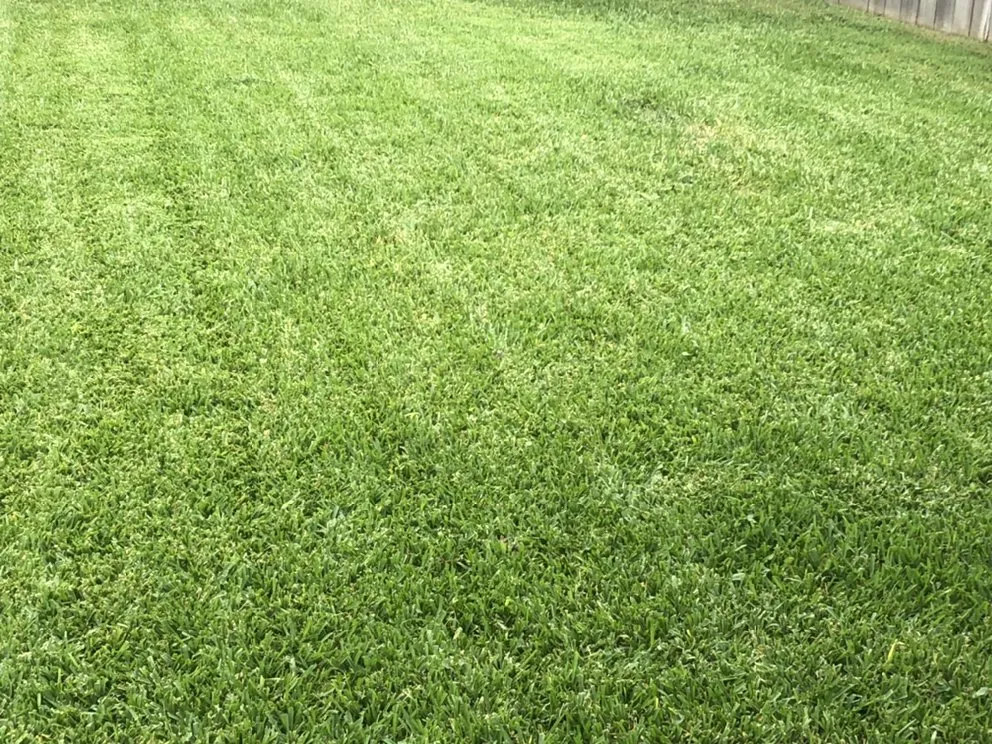 Professional residential landscaping for beautiful yards across New Orleans, LA - Teacher's Grass, Gardens & Grounds