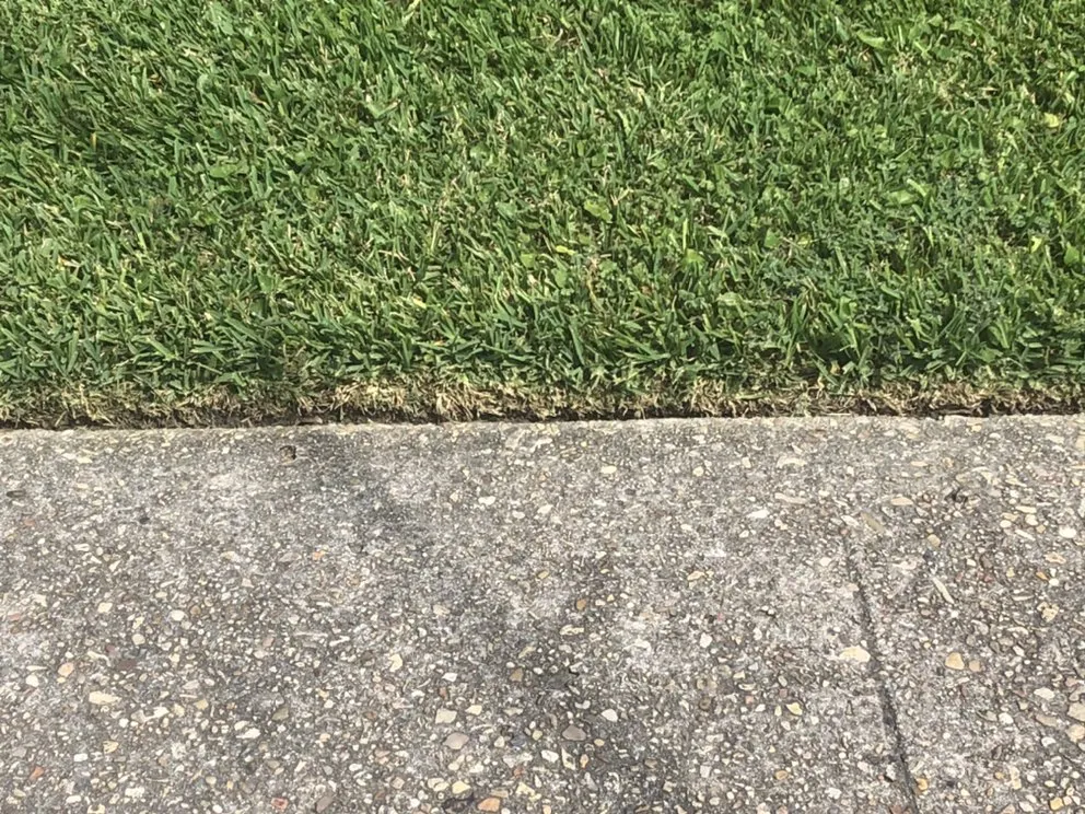 Local lawn mowing service experts serving New Orleans, LA - Teacher's Grass, Gardens & Grounds