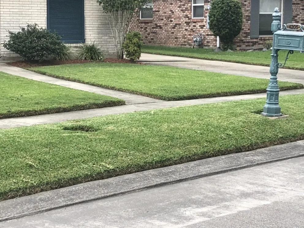 Local landscape installation for outdoor upgrades across New Orleans, LA - Teacher's Grass, Gardens & Grounds