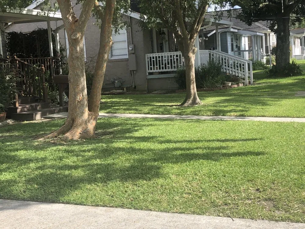 Trusted lawn mowing service for beautiful yards across New Orleans, LA - Teacher's Grass, Gardens & Grounds