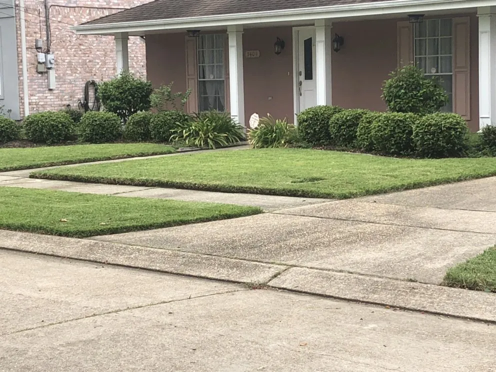 Trusted yard maintenance experts serving New Orleans, LA - Teacher's Grass, Gardens & Grounds