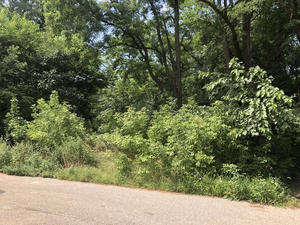 Local landscape installation in Mentor, OH by Teachout Landscaping