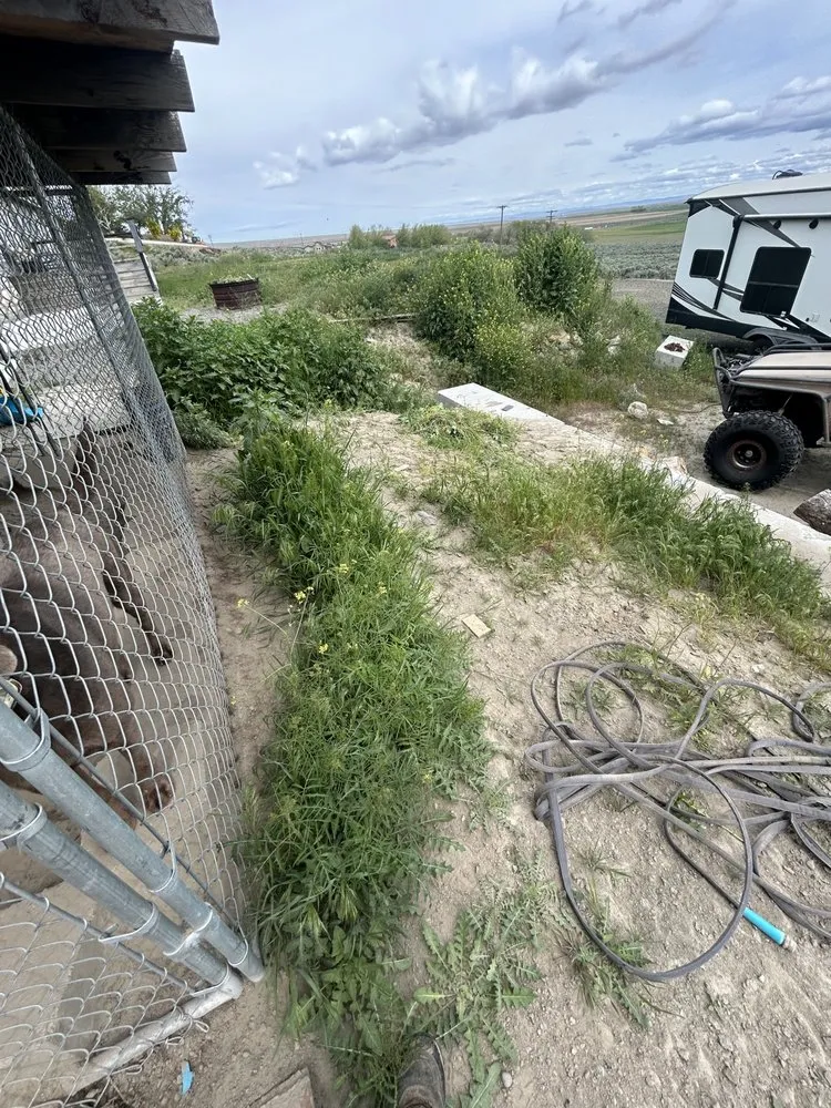 Professional yard cleanup service in Kennewick, WA - Teagens Mowing Landscapings