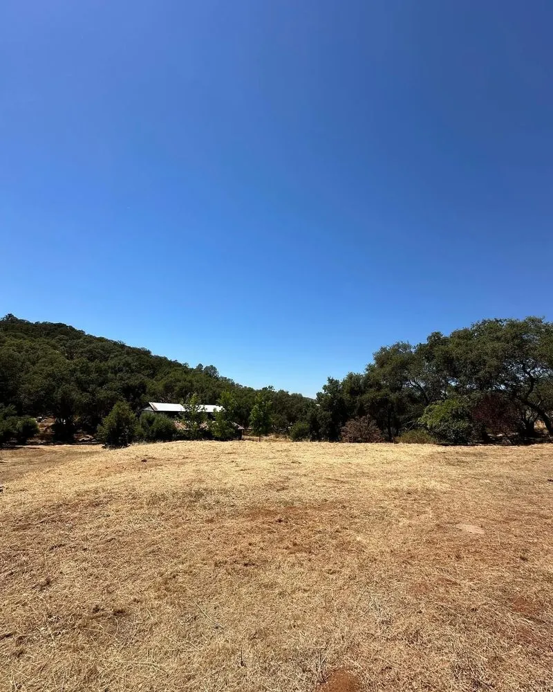 Custom lawn care service for homes across Cameron Park, CA - Teague Industries