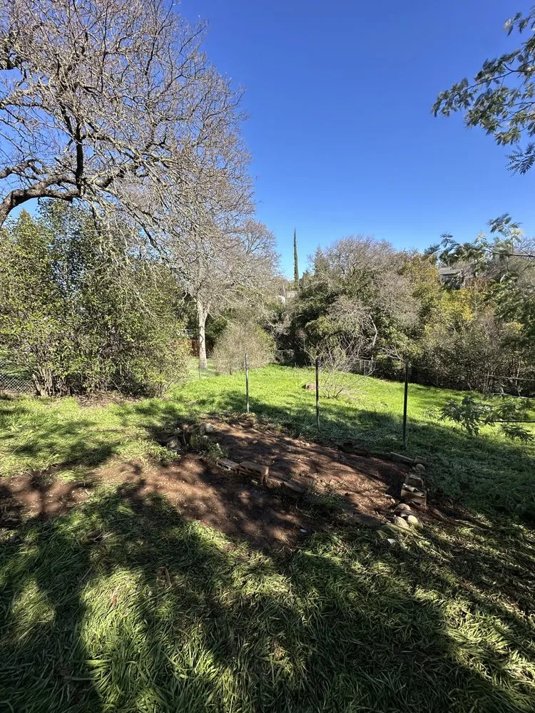 Local yard cleanup service in Cameron Park, CA - Teague Industries