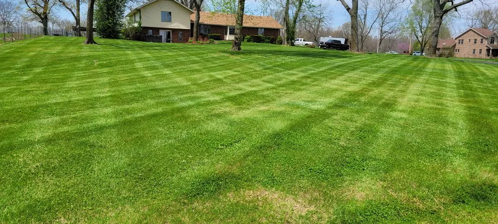 Local landscape installation for residential properties in Springfield, MO by Teague Lawn Care