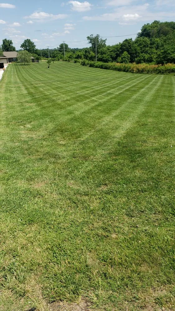Reliable lawn care service experts serving Springfield, MO - Teague Lawn Care