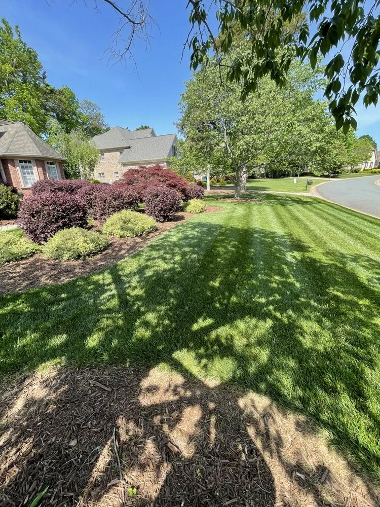 Professional lawn care service in Fort Mill, SC - Teague Lawn Creations