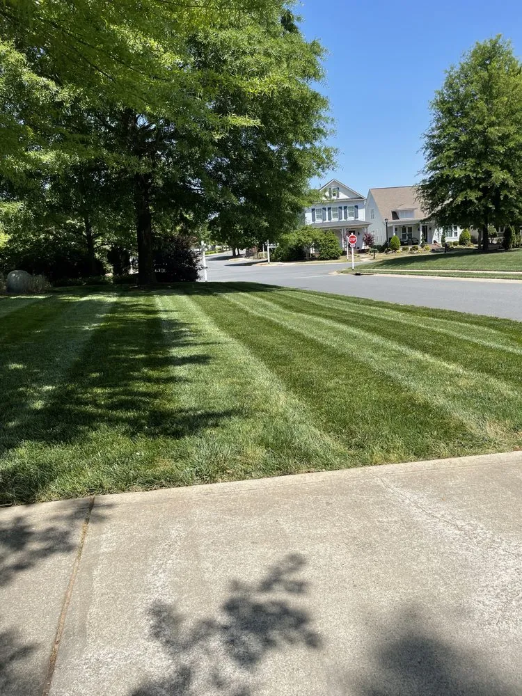 Custom garden landscaping in Fort Mill, SC - Teague Lawn Creations