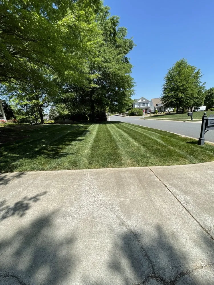 Expert landscaping services with custom design in Fort Mill, SC by Teague Lawn Creations
