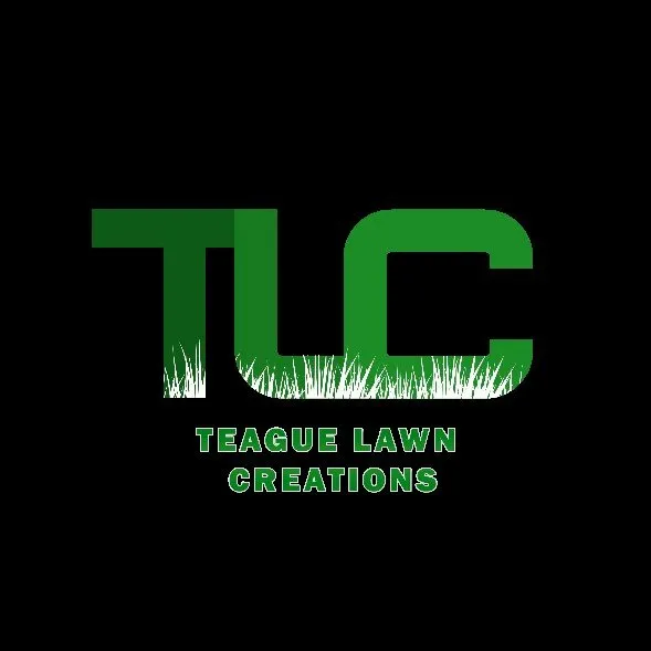 Custom yard cleanup service experts serving Fort Mill, SC - Teague Lawn Creations