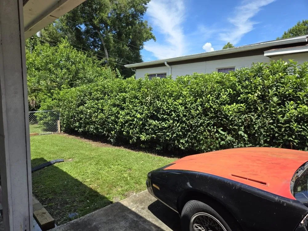 Affordable landscaping services in Lakeland, FL by Teague’s Lawn Care