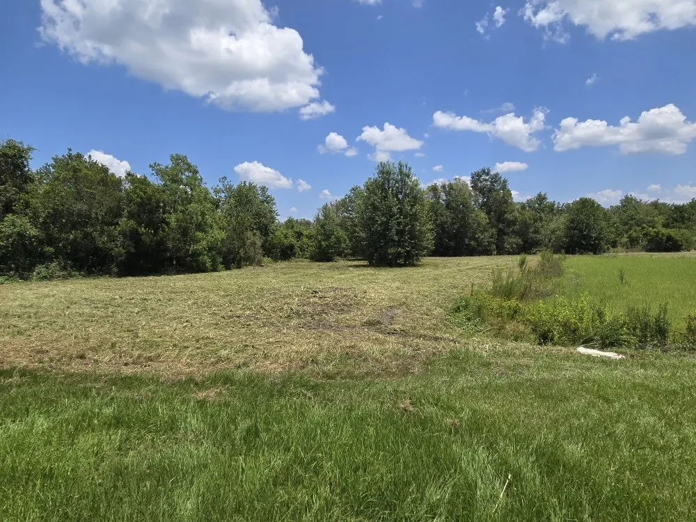 Reliable outdoor landscaping experts serving Lakeland, FL - Teague’s Lawn Care